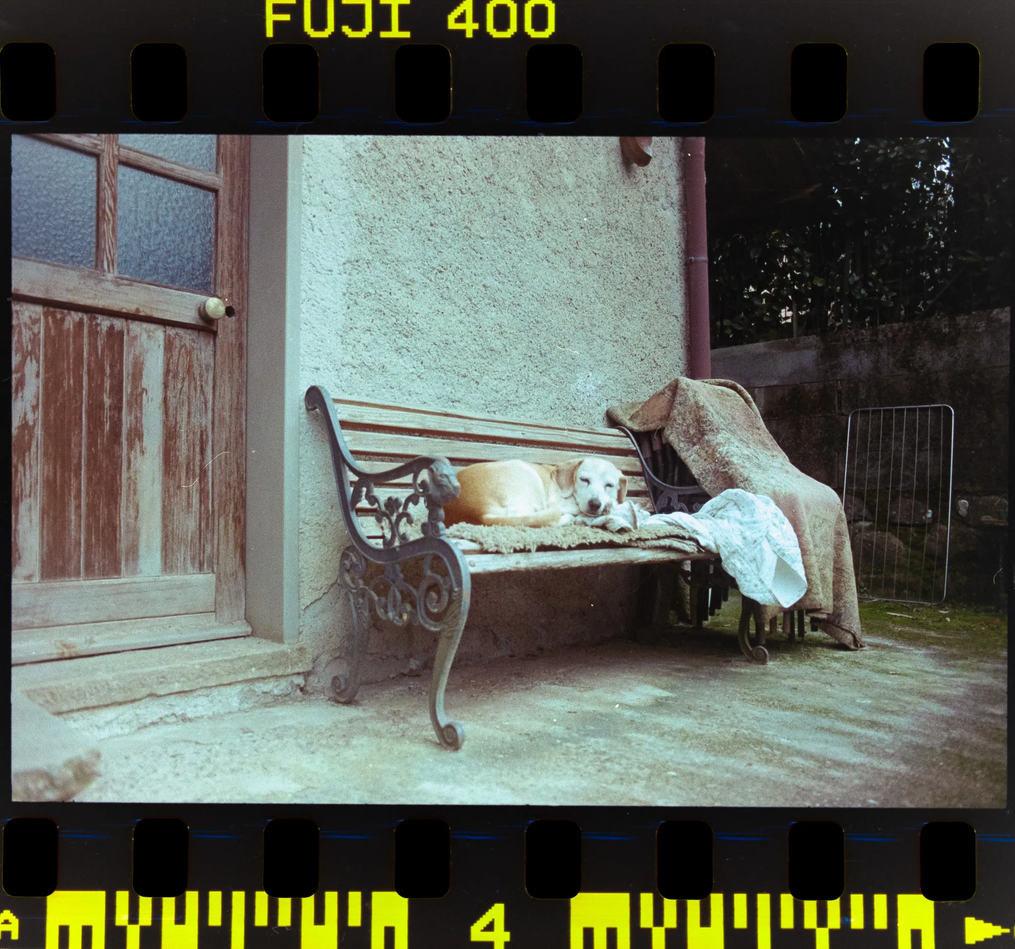 Films, foto 5
