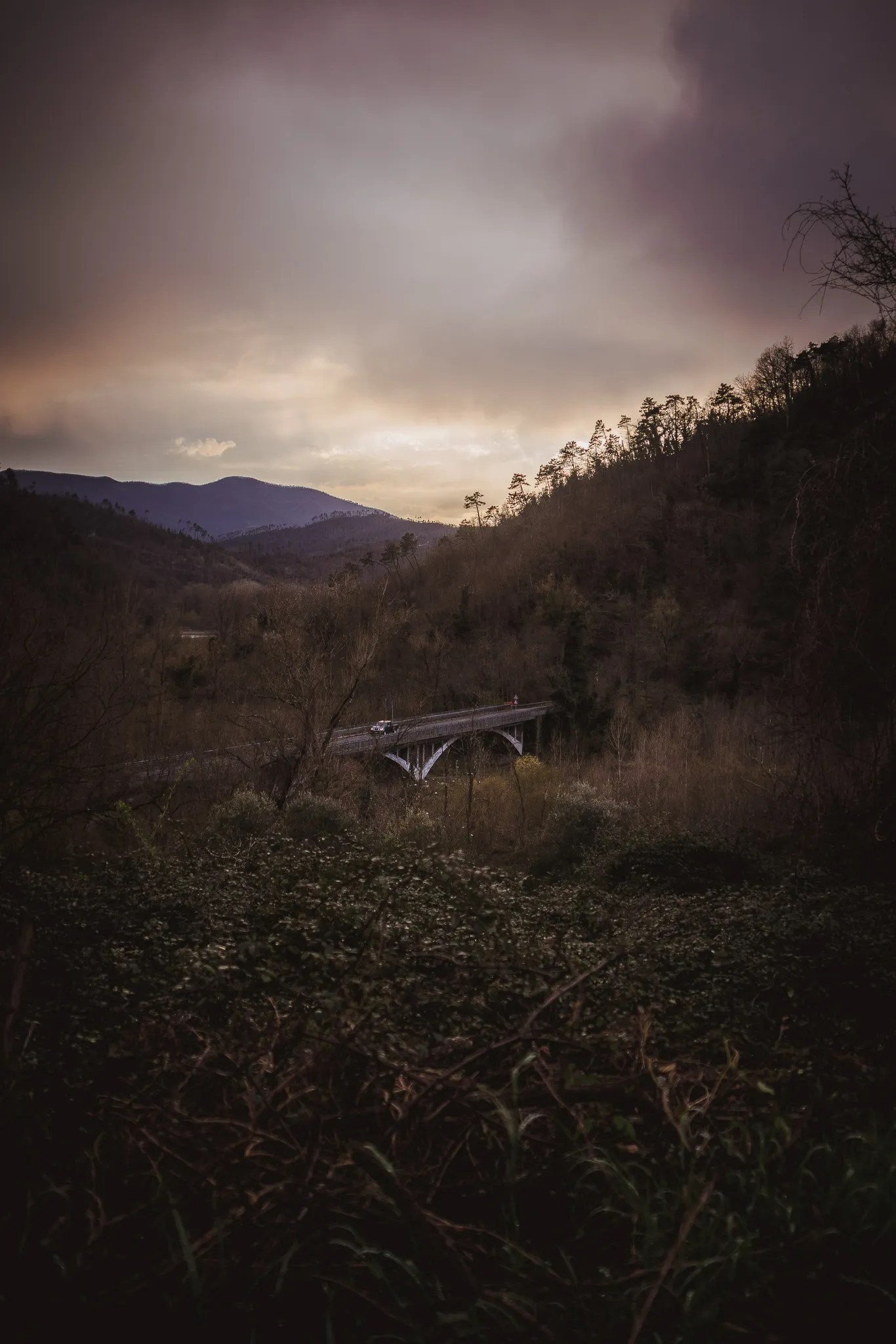 Spɛza — La Spezia, Liguria, foto 5