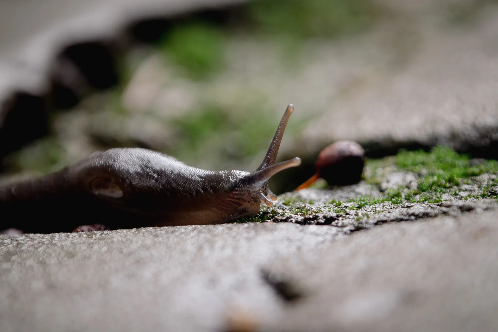 Little World, foto 4